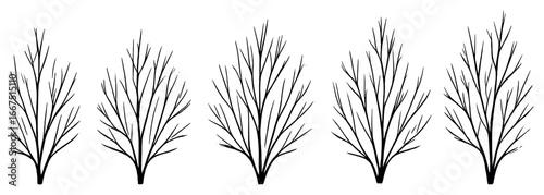 Abstract leafless shrubs vector | minimalist tree art | geometric plant design for nature lovers