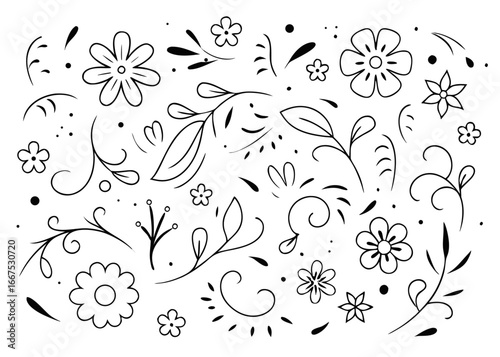 Elegant continuous outline floral collection featuring delicate blooms and botanical elements for decorative applications