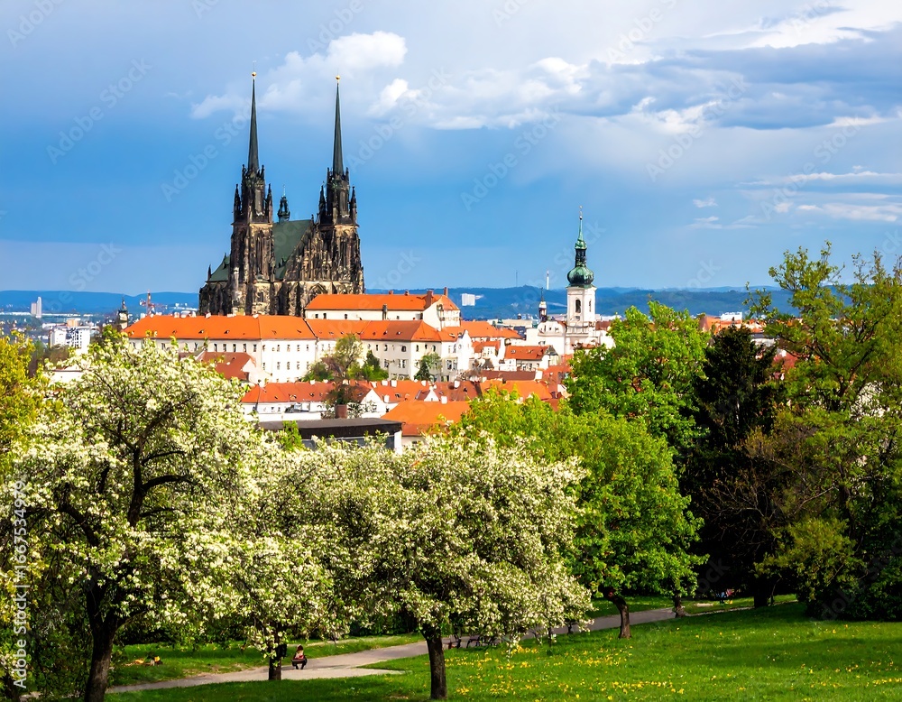 Obraz premium Petrov Cathedral in Brno Czech Republic with Green Trees and Blue Sky.