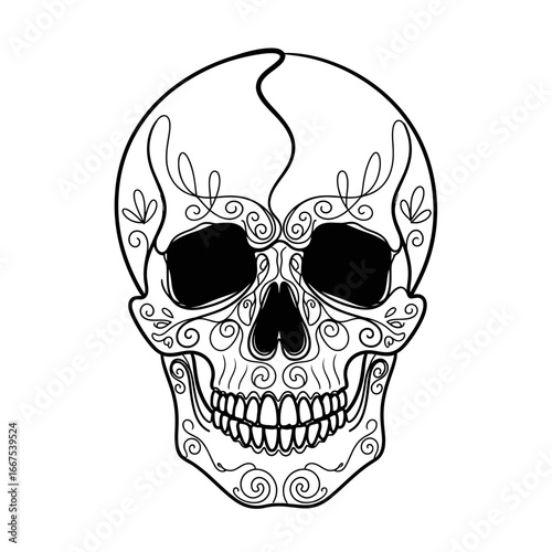 Ornate Skull Vector Illustration