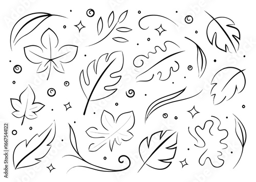 A curated assortment of botanical emblems presented in a freehand artistic rendering and a sleek uncluttered visual presentation