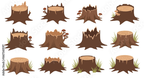 Vector illustration set of tree stumps in cartoon style, clean outline, flat colors, hand-drawn look. Include various shapes of stumps such as with roots, cracked surfaces, with grass, with mushrooms