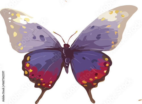 butterfly vector art