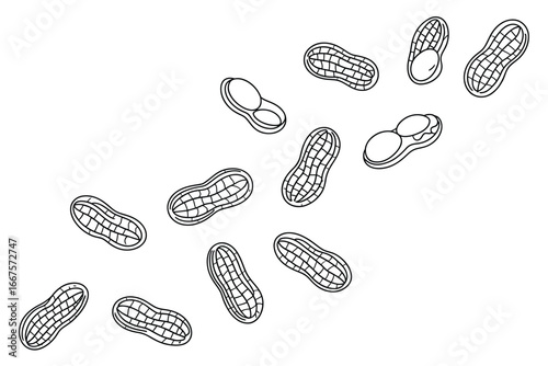 Hand drawn illustration of peanuts scattered on a white background