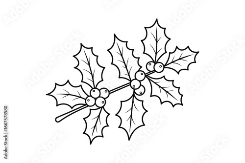 Classic black and white holly branch with berries illustration