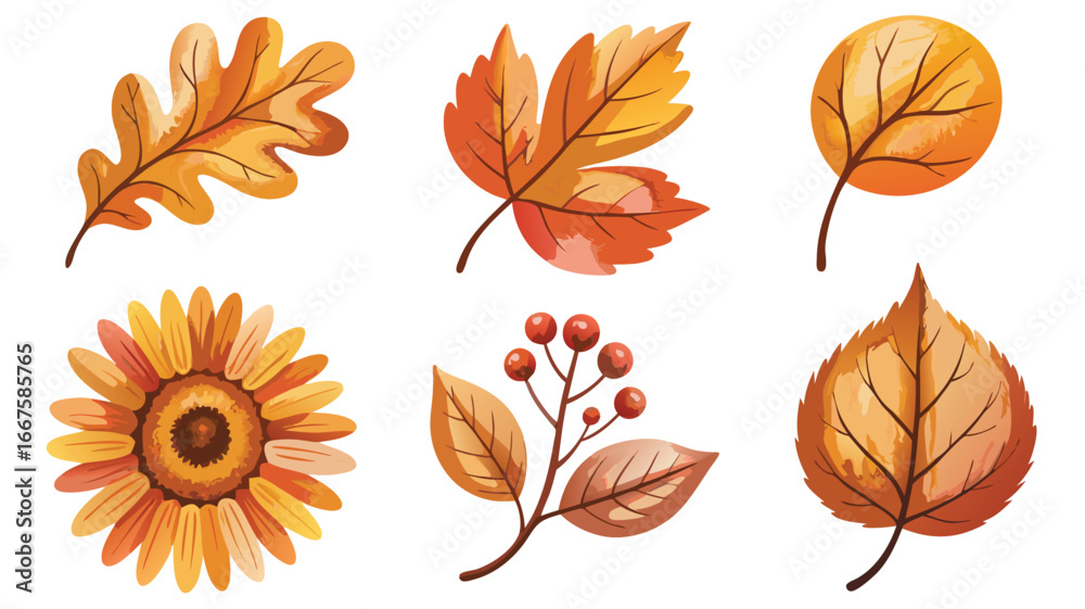 Fototapeta premium Autumnal Leaves and Sunflower Illustrations Oak Leaf, Maple, Birch, Berries, Flower on White
