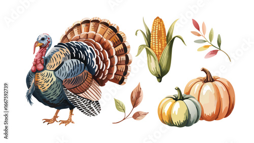 Watercolor Turkey Illustration with Pumpkins, Corn, and Autumn Leaves on White Background