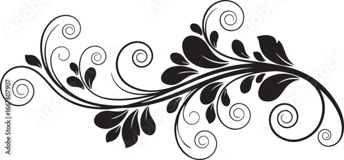Black decorative floral swirl ornament with leaves and curls on white background flourish