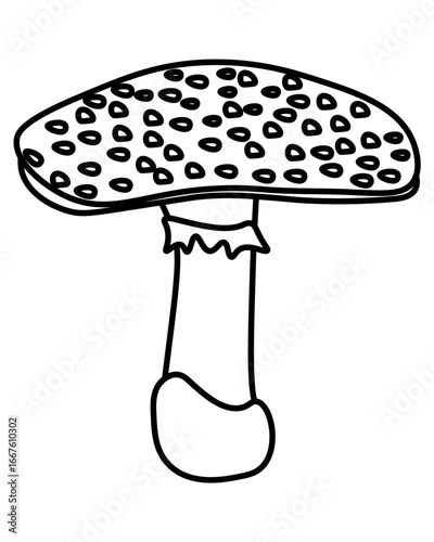 Fly agaric wild poisonous mushroom outline, element growing in the forest for coloring page