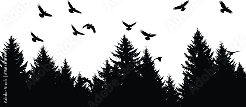 Forest silhouette with conifer trees, flying birds, nature scene, wildlife illustration, black contour, peaceful landscape, outdoor view, minimal design