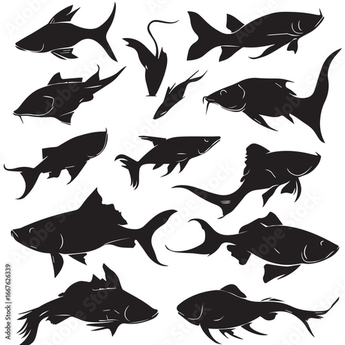set of catfish