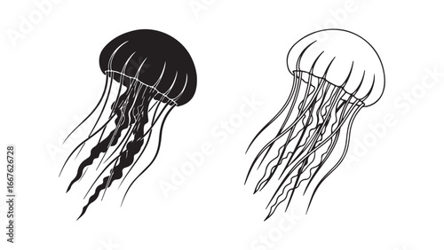 Jellyfish outline and silhouette with transparent background