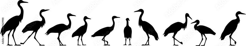 Fototapeta premium Heron and Crane Silhouettes in Various Poses