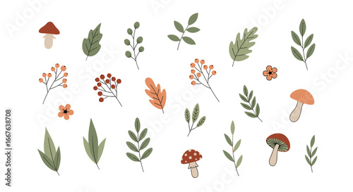 Charming autumn woodland botanical elements mushroom leaves berries flowers vector illustration
