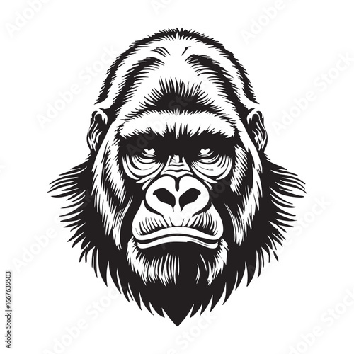 Black and white gorilla head vector illustration, primate graphic design eps silhouette
