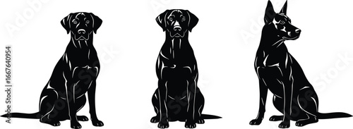 Dog silhouettes sitting, Labrador and German Shepherd, breed comparison, black and white art, pet posture, canine design, minimal style