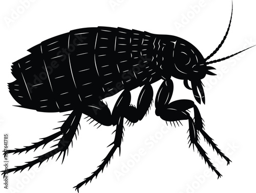 Flea silhouette, insect, parasite, segmented body, long legs, jumping flea, antennae, blood feeder, veterinary, medical, pest, disease, vector, anatomy, black shape, parasite insect, flea anatomy