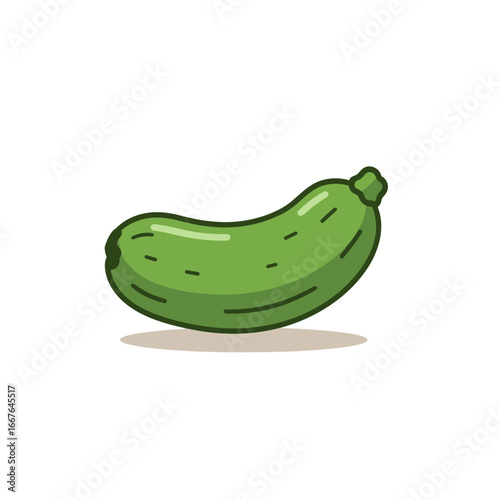 Fresh green zucchini on white background in flat design style  
