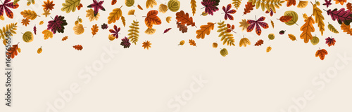 Autumn leaves background. Falling foliage, long decorative natural border. Fall leaf flying down, botanical pattern, seasonal forest decor, horizontal banner design. Flat vector illustration