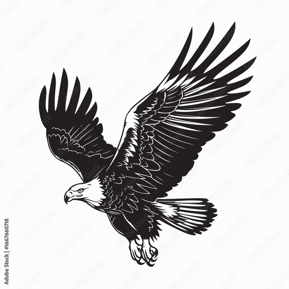 Obraz premium Fierce bald eagle flying attack vector isolated on white background