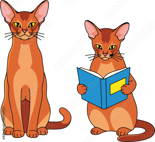 Orange cats sitting and reading a book vector
