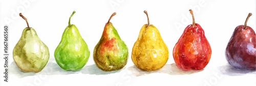 Vector illustration, set of pears in watercolor style, banner