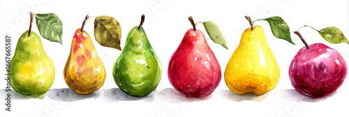 Vector illustration, set of pears in watercolor style, banner