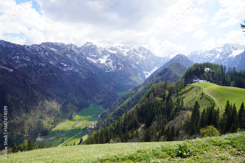 Scenic Slovenian Mountains with Forest Meadow