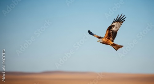 Majestic Red Kite Soaring Gracefully Over a Hazy, Sun-Kissed Landscape