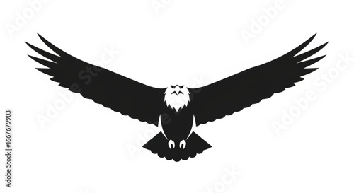 Eagle soaring vector graphic design american bald eagle bird of prey wildlife silhouette illustration art