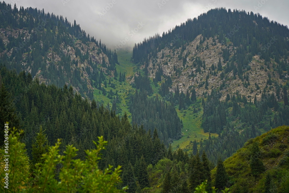 Fototapeta premium National Nature Park. Mountainous area with different vegetation. Cloudy, raining.