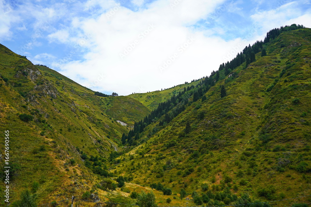 Naklejka premium National Nature Park. Mountainous area with different vegetation. Cloudy, raining.