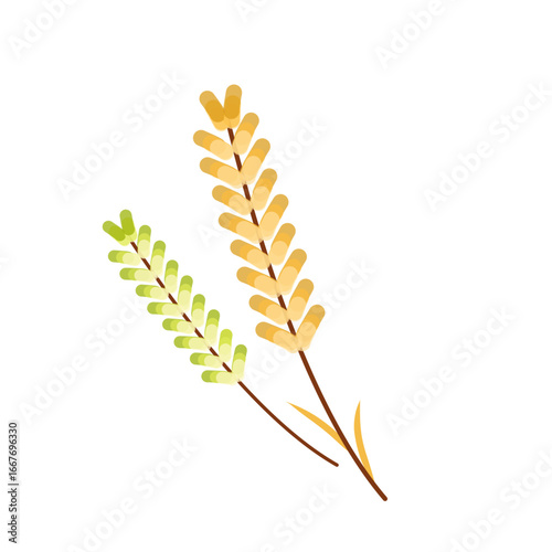 Autumn Wheat Grain