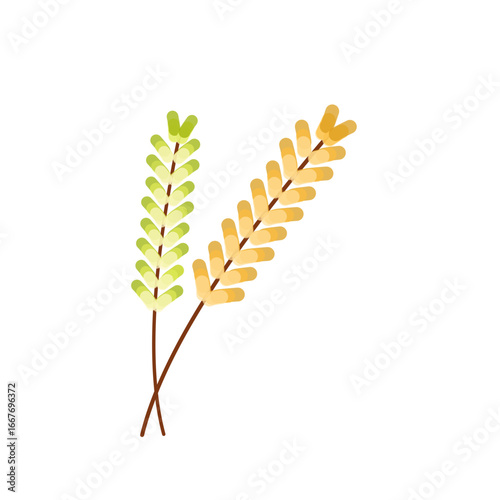 Autumn Wheat Grain