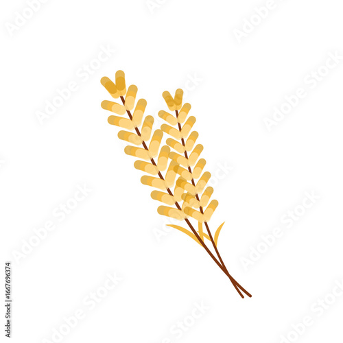 Autumn Wheat Grain
