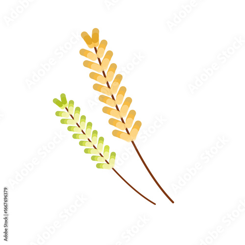 Autumn Wheat Grain