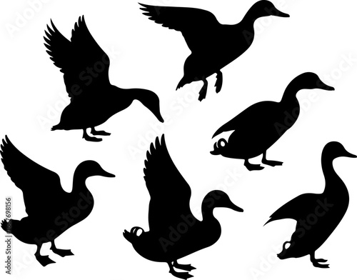 "Set of Duck Silhouettes – Black Vector Collection"