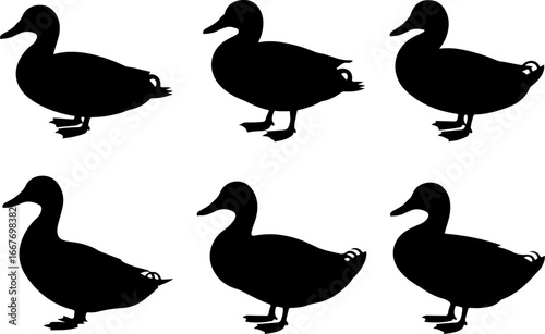 "Set of Duck Silhouettes – Black Vector Collection"
