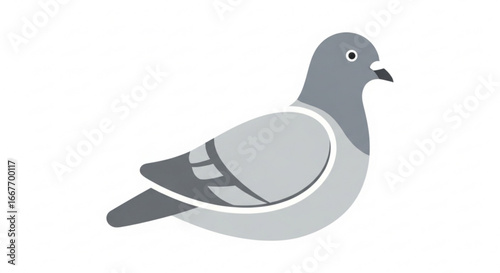 Isolated pigeon vector illustration for graphic design projects and bird watching enthusiasts use, simple design