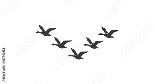 Flying geese silhouette vector image for migration season and bird watching enthusiasts design resource
