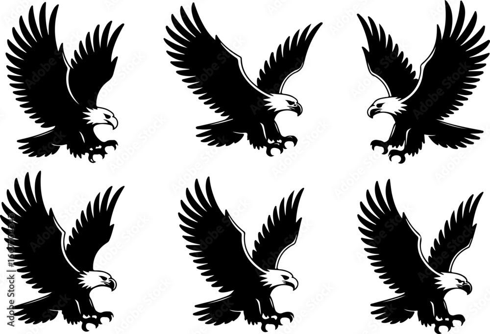Fototapeta premium Flying Eagle Silhouette Vector Set