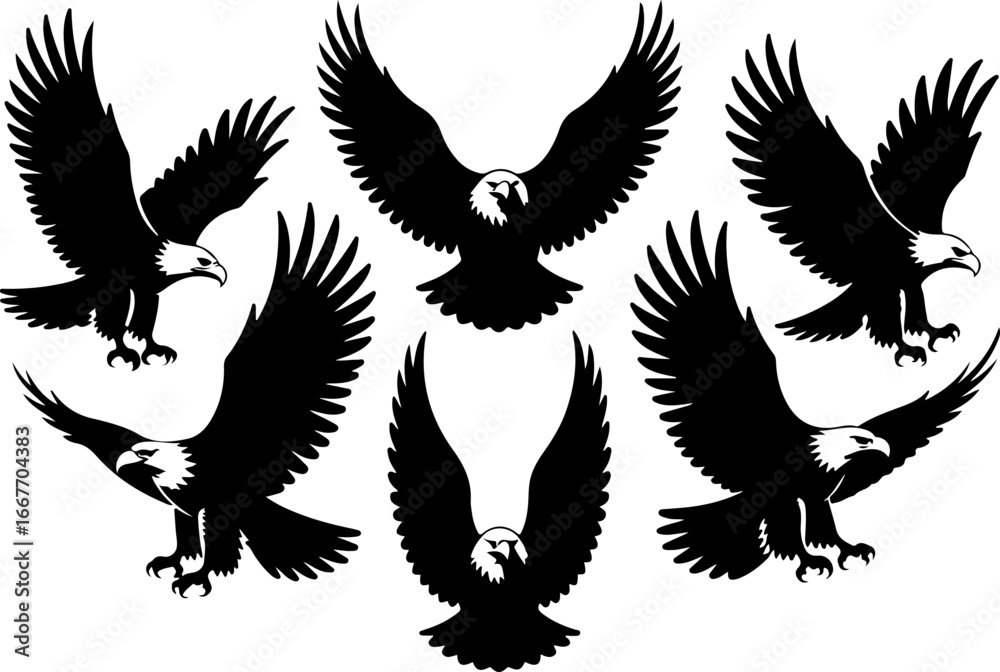 Obraz premium Flying Eagle Silhouette Vector Set