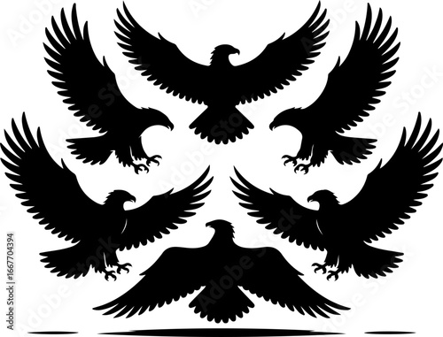 Flying Eagle Silhouette Vector Set