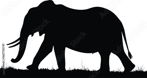  Elephant silhouette roaming through a serene african dawn landscape silhouette