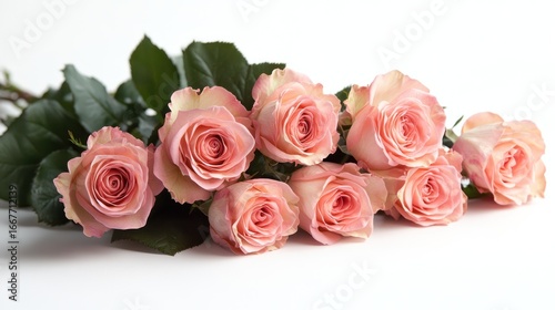 Arrangement of delicate peach roses with fresh green foliage on white backdrop