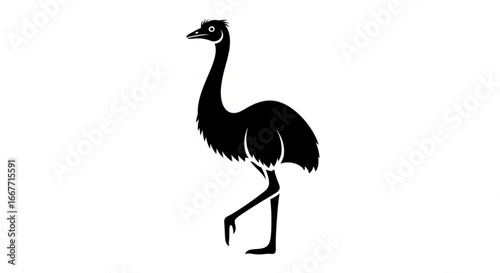 Emu silhouette vector illustration black and white emu clip art emu graphic design emu image vector 100