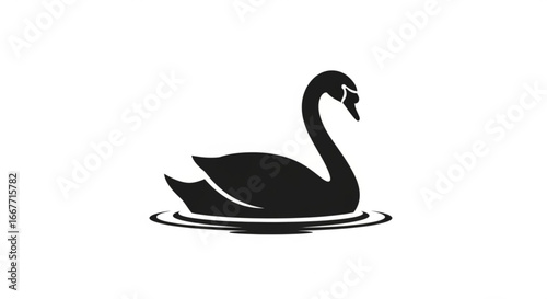 Black swan vector illustration of elegant swan swimming in water wildlife bird design for logo and graphics use