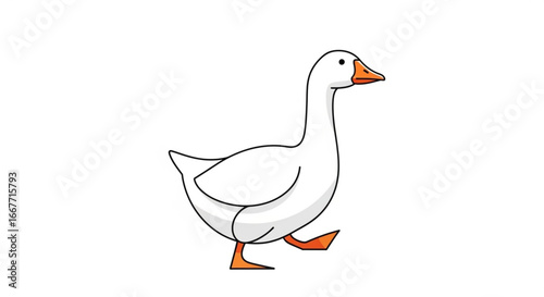 White goose vector illustration for farm animal clip art and goose drawing design resources and goose images