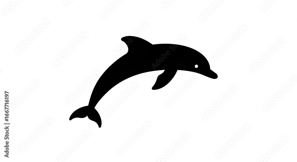 Fototapeta premium Night sky photography tips for beginners how to capture stars and milky way galaxy with camera settings guide isolated on transparent white background