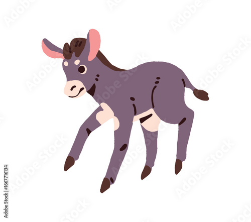Baby donkey plays on pasture. Cute grey foal has fun on barnyard. Little kid of mule or domestic ass on ranch. Child of livestock, farm animal. Flat isolated vector illustration on white background
